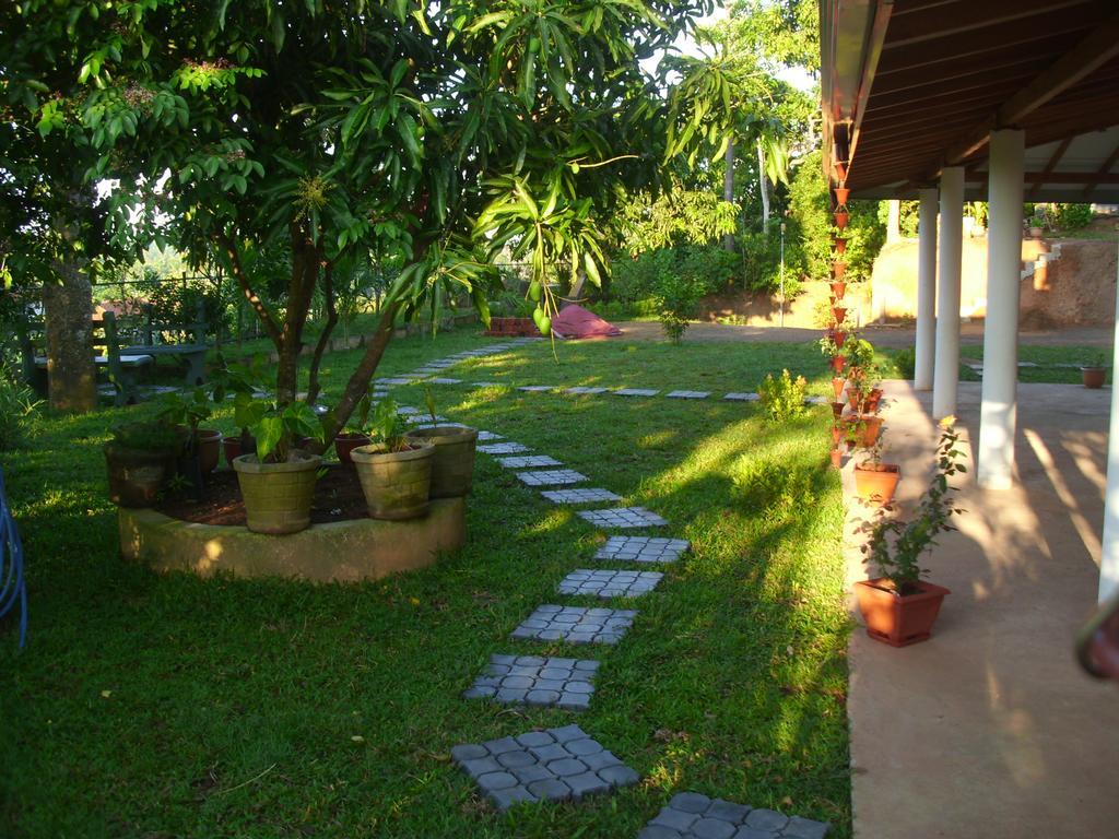 Mount View Villa Resort Mirissa Eksteriør billede