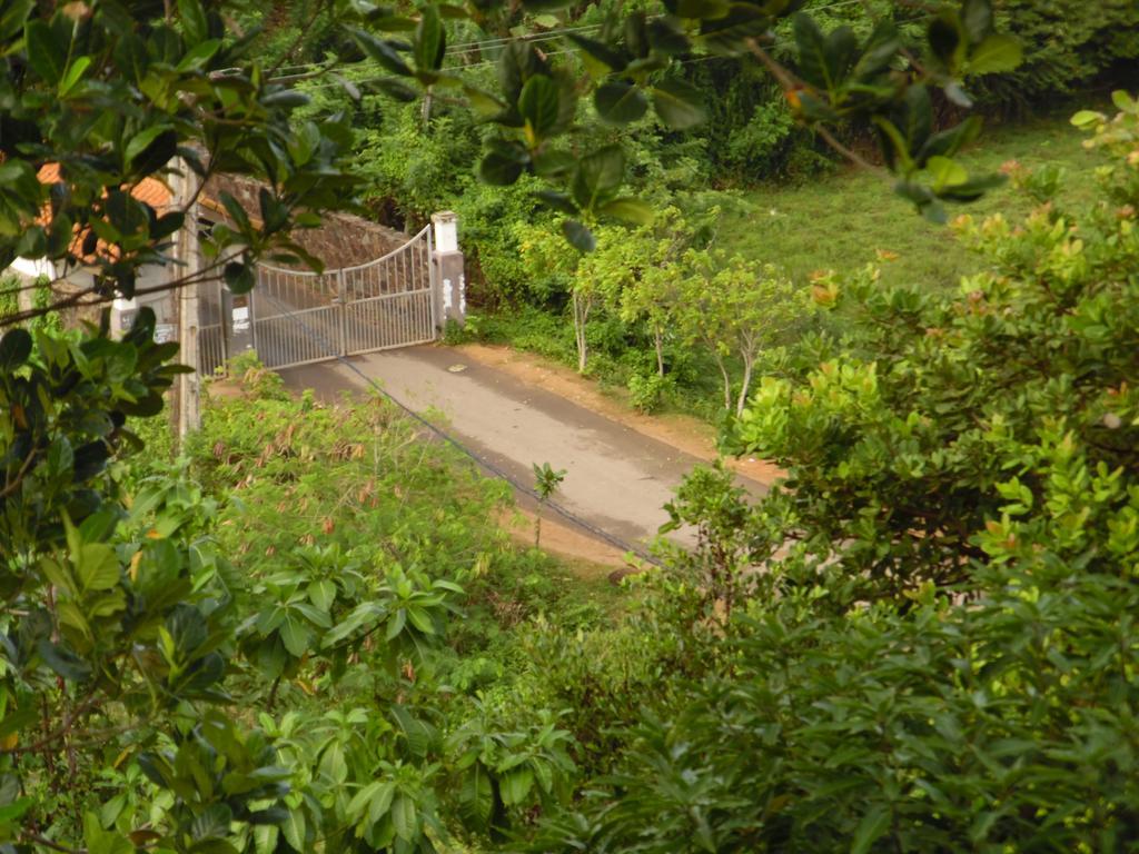 Mount View Villa Resort Mirissa Eksteriør billede