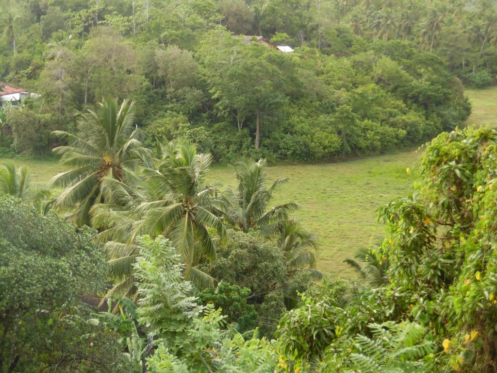 Mount View Villa Resort Mirissa Eksteriør billede