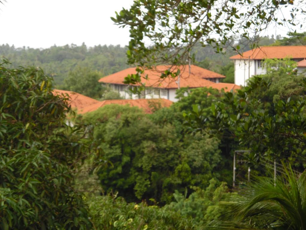 Mount View Villa Resort Mirissa Eksteriør billede
