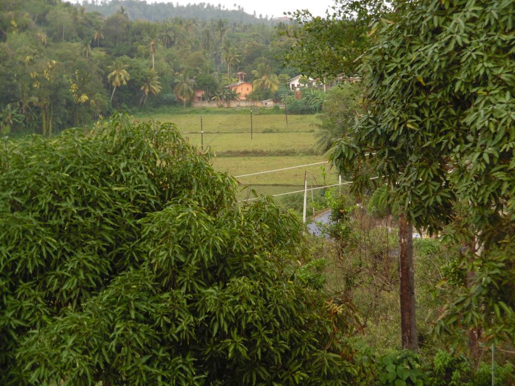 Mount View Villa Resort Mirissa Eksteriør billede