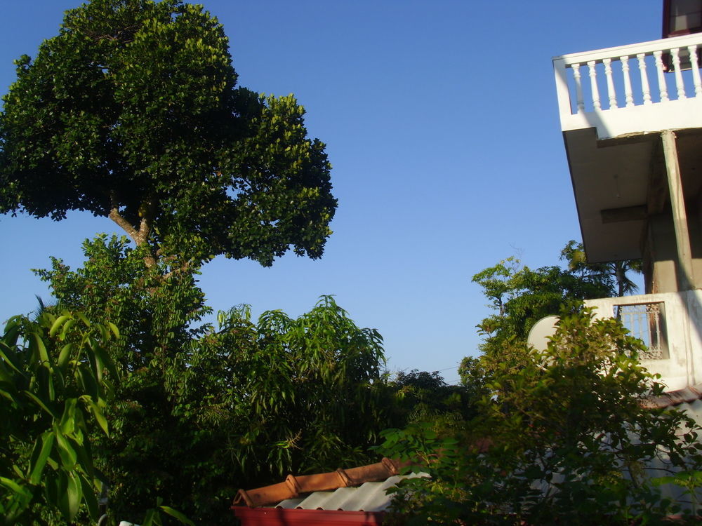 Mount View Villa Resort Mirissa Eksteriør billede